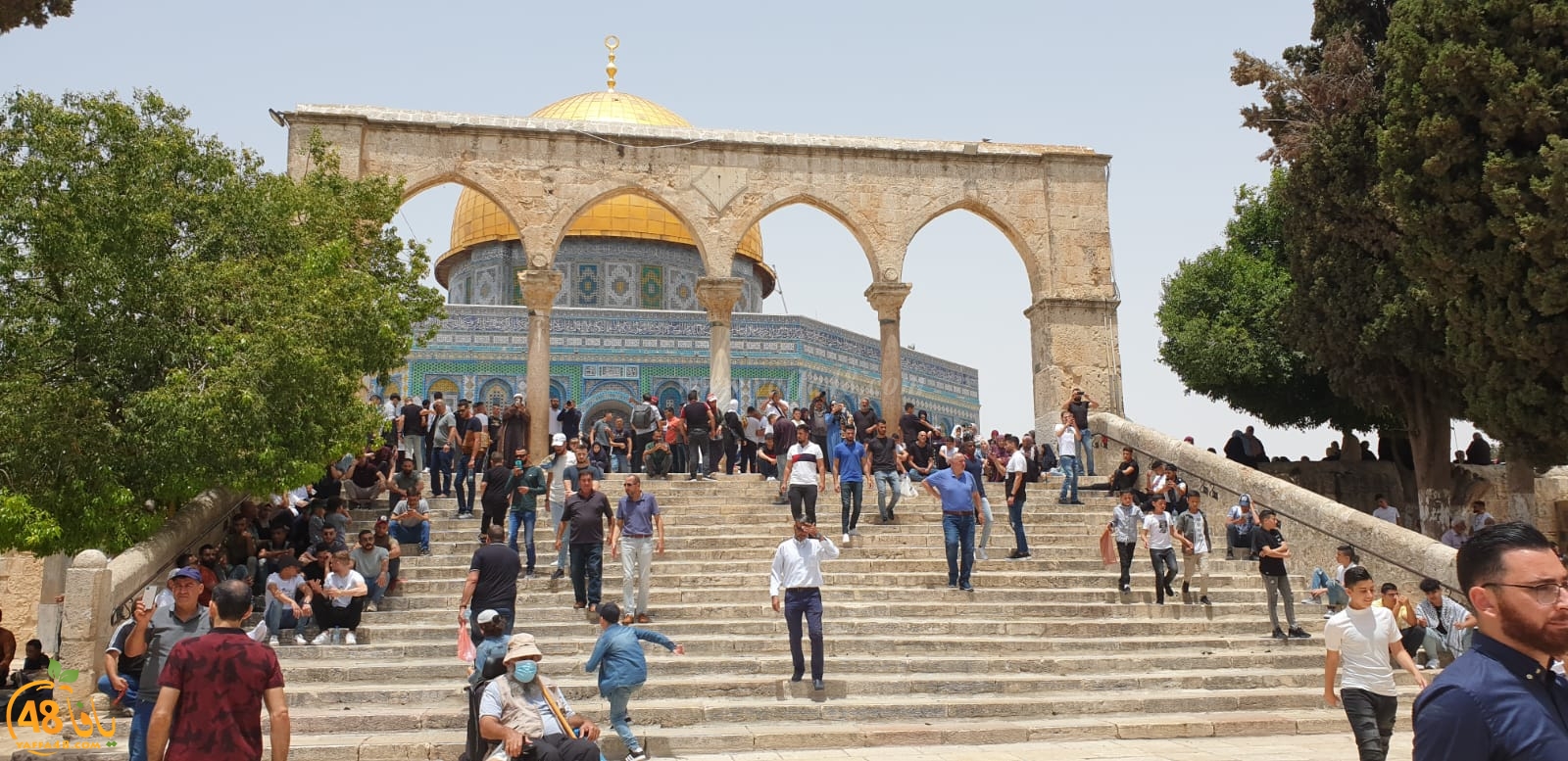 فيديو وصور من باحات المسجد الأقصى المبارك 